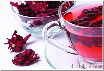 chá de hibisco 06