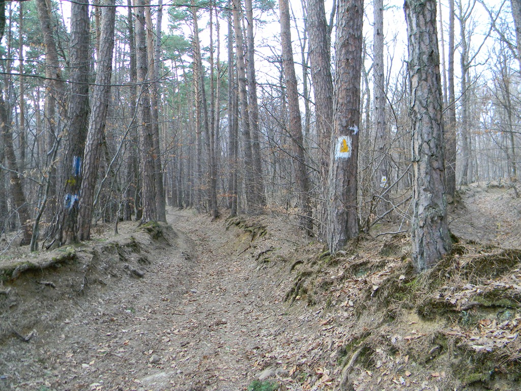 [DSCN76393.jpg]