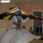 IMG_0159_новый размер.JPG
