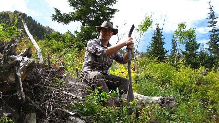 Lunch Break Log Log lunch Millcreek Canyon
