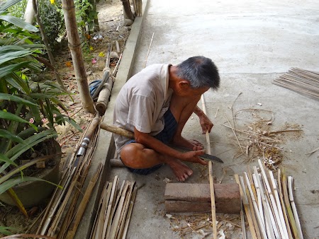 12. Constructorul din bambus.JPG