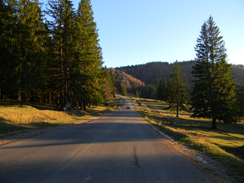 [DSCN95363.jpg]
