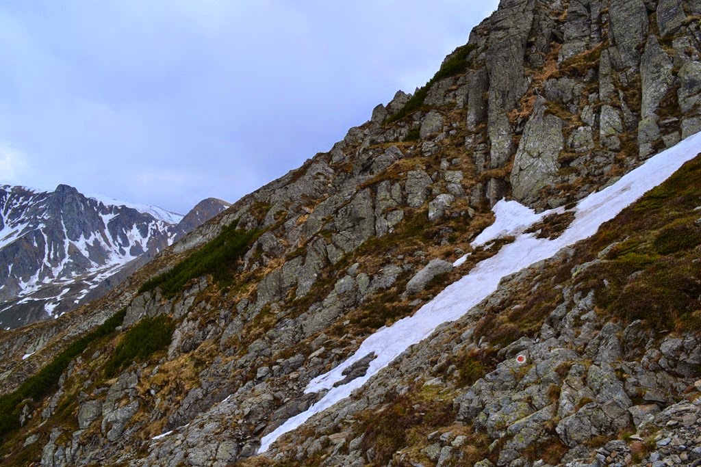 [DSC_24513.jpg]