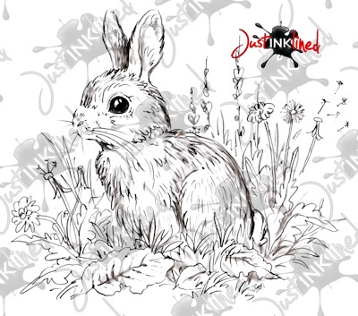 Meadow_Rabbit_WM