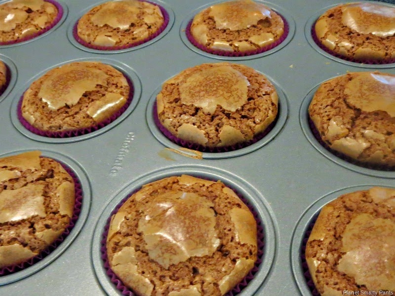 [Chocolate-Cupcakes-Out-of-Oven%255B3%255D.jpg]