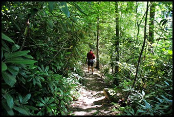 43 - Battleship Rock Trail- Then a nice easy down slope