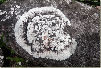 taehatuIMG_0239 taehatuIMG_0239