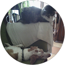 Image Google de Marie Noelle Lary