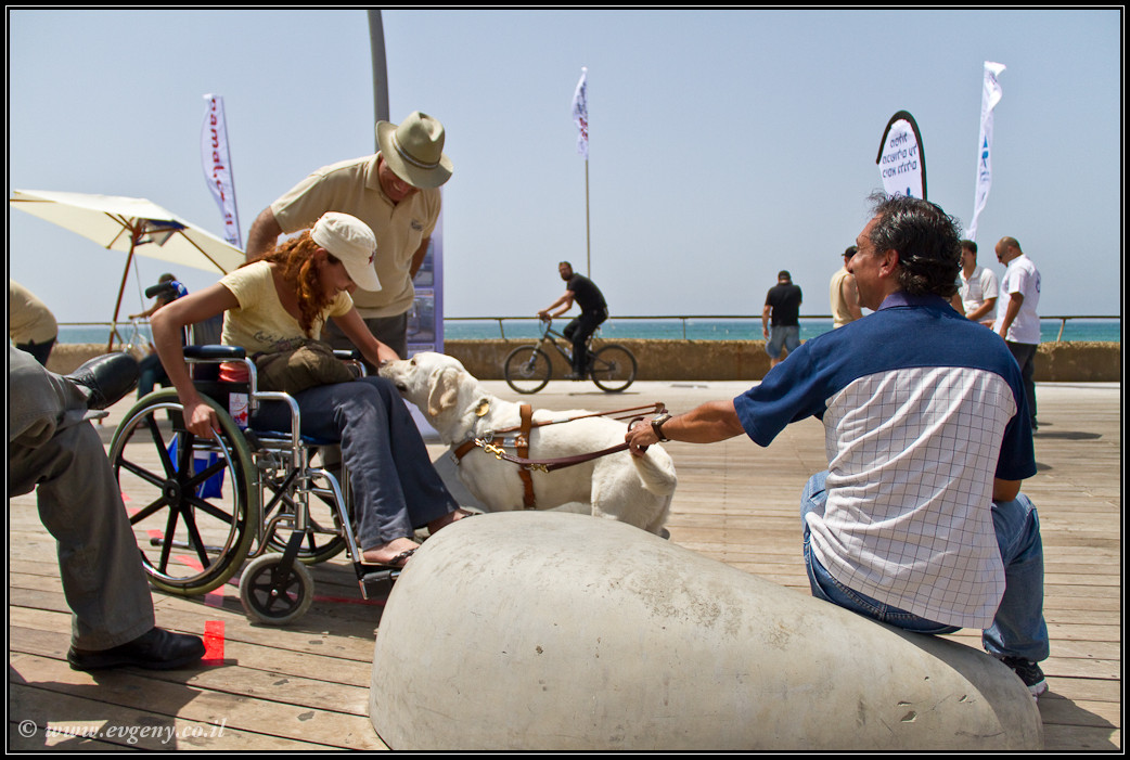 LookAtIsrael.com: Дома изнутри: ...и еще вопрос кто из нас неполноценен... (foto israel фото тель авив порт дома изнутри )