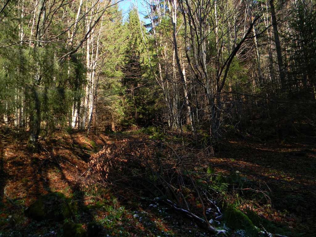 [DSCN08303.jpg]