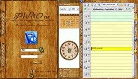 PIMOne skin1