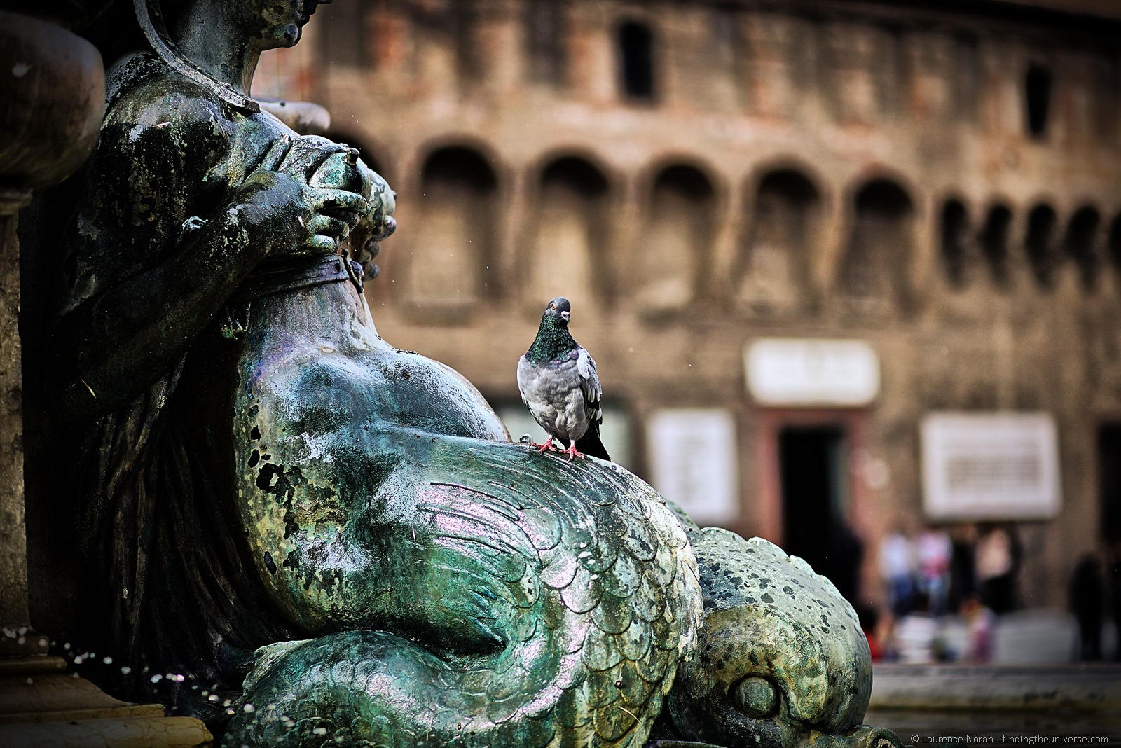[Bologna-statue-pigeon-12.jpg]