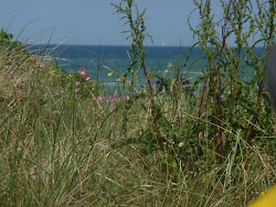 Radtour Schönberg - Wendtorf - 09