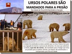 urso_polar_thumb[1]