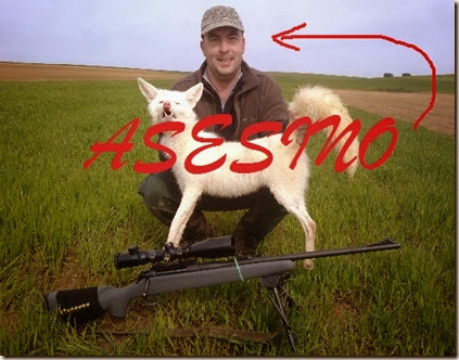 cazador-mata-zorro-albino