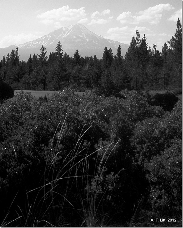 Mt. Shasta.  Highway 89.  California.  July 2004.