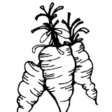 Food-Garden-Veggie-Carrots.jpg