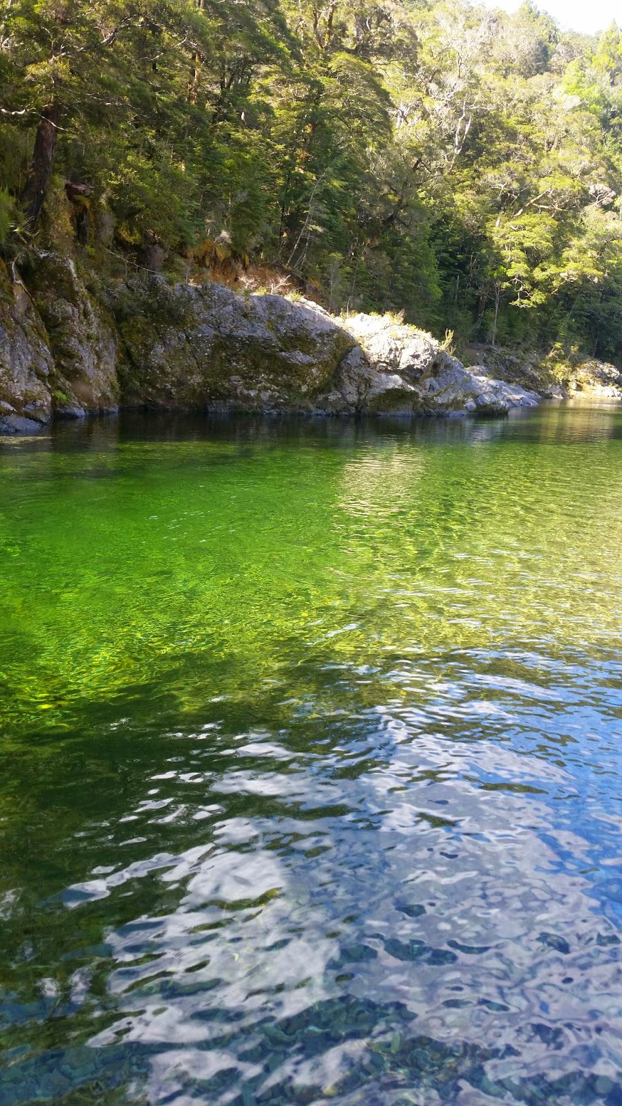 wayno-di-pelorus-river-track
