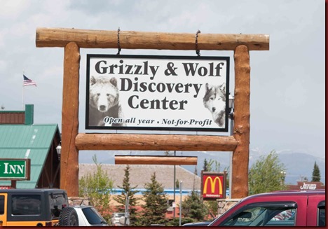 Grizzly sign (1 of 1)