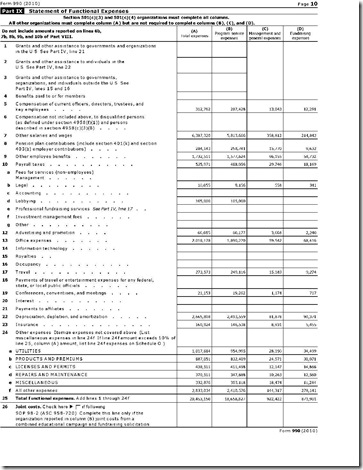 AFA Functional Expenses 990 2010