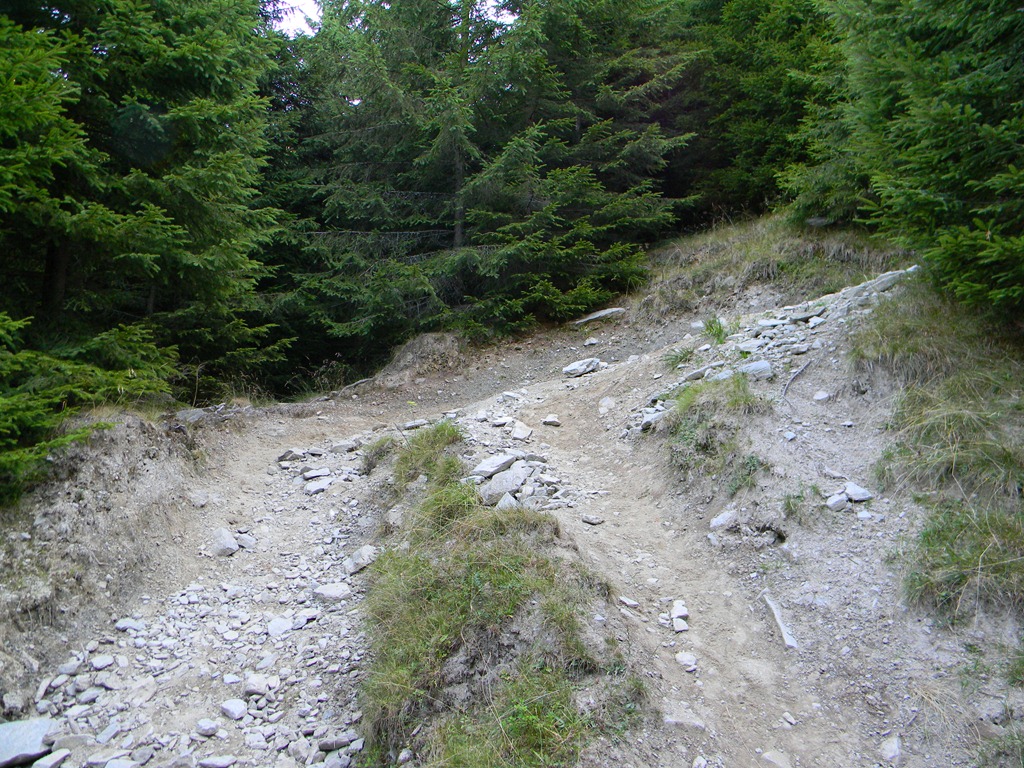 [DSCN10583.jpg]