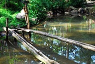 Baguio Botanical Garden