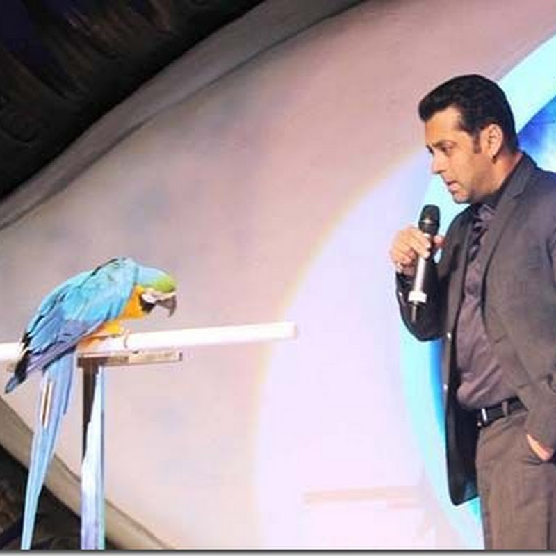 Salman Khan with Parrot at Bigg Boss 6!