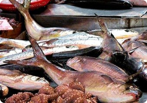 pesci-al-mercato