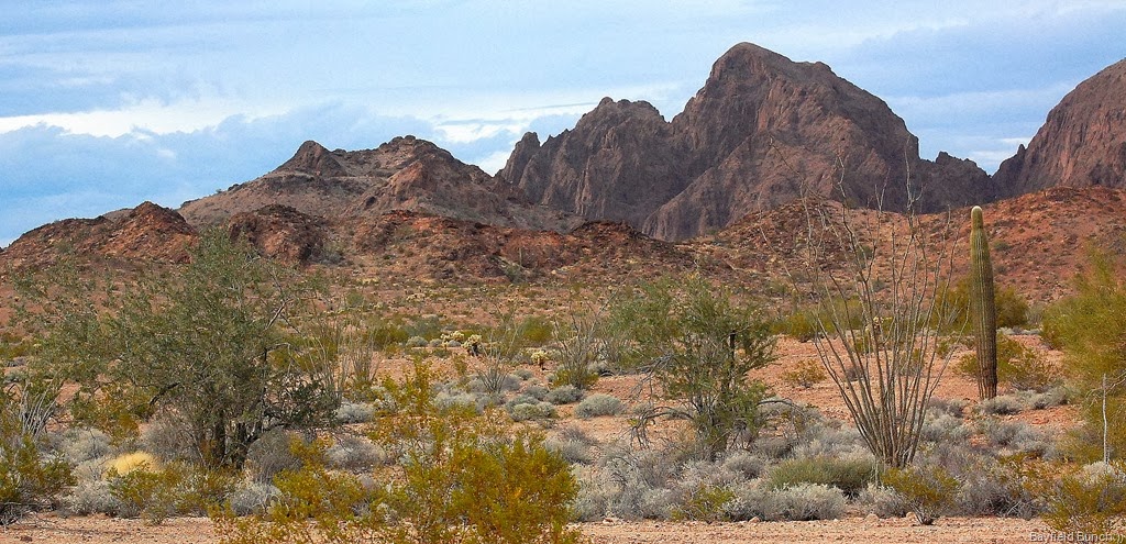 [DSC_0479%255B4%255D.jpg]