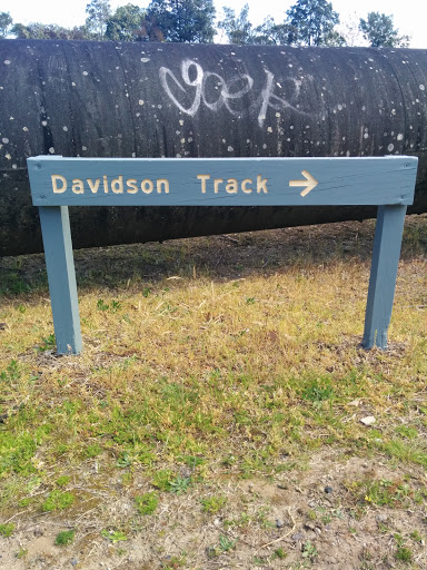 Davidson Track Sign 