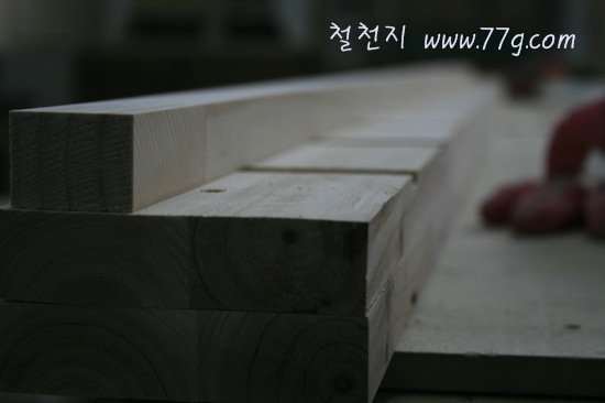 [IMG_5370-20111120-2036113.jpg]