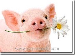 animales con flores JPG (2)