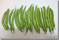 Provider bean 1st harvest