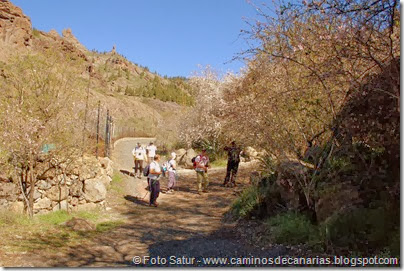 7438 La Goleta-La Candelilla(Ayacata) 7438 La Goleta-La Candelilla(Ayacata)