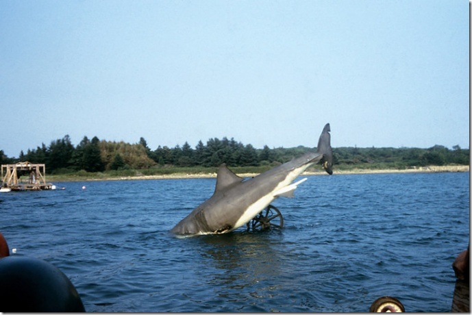 jaws_14