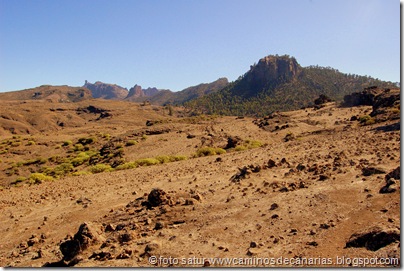 3594 Juncal-Roque Cofre 3594 Juncal-Roque Cofre
