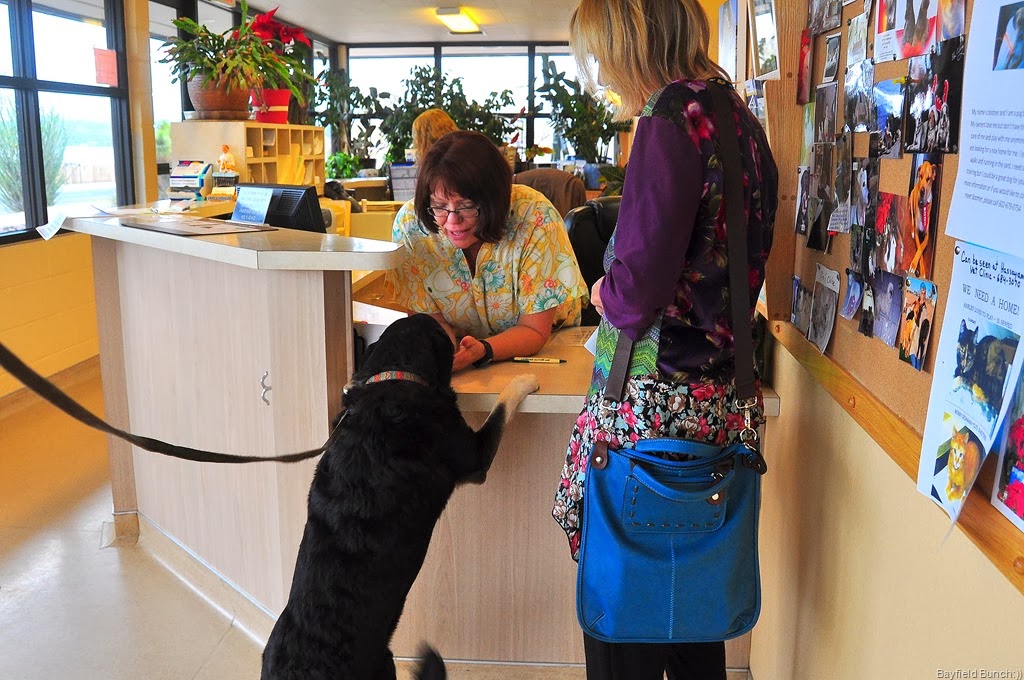 [DSC_0013%255B4%255D.jpg]