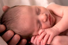 New born baby sleeping in hand