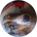 Image Google de thony thony antho