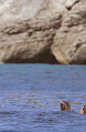 Cameron_Diaz_On_the_Set_of_a_Vogue_Photoshoot_in_St_Barthelemy_January_31_2014_031.jpg