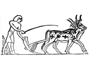 c0 Ancient Egyptian driving oxen with a goad