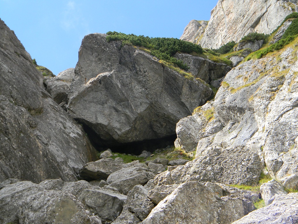 [DSCN24213.jpg]
