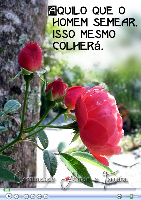 oiu.jpg