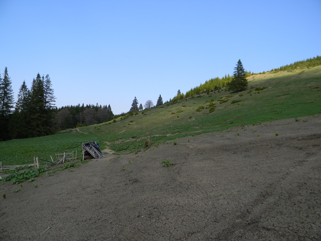 [DSCN80023.jpg]