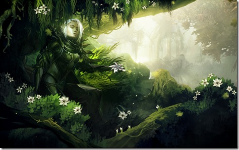 wallpaper-guild wars