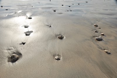 DSC_0040.jpg