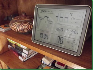 Wireless thermometer