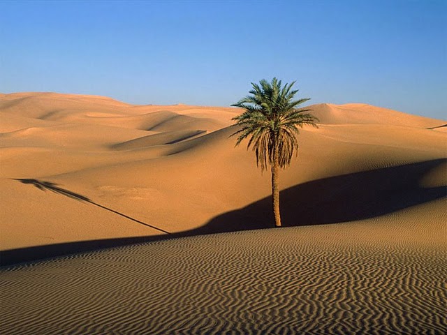 Desert_012.jpg