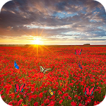 Sea Of Flowers Apk