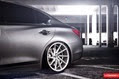 Vossen-6